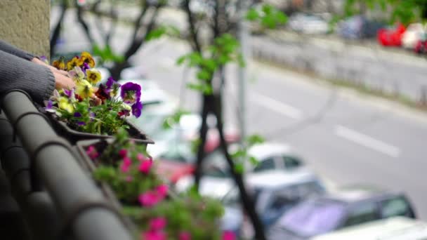 Câmera super 35mm - plantando flores em uma varanda — Vídeo de Stock