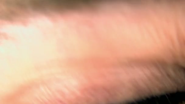 Super 35mm caméra - Gros plan d'un oeil bleu-vert 