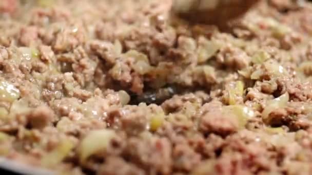 Τηγάνισμα κιμά με το κρεμμύδι και το ρύζι — Αρχείο Βίντεο