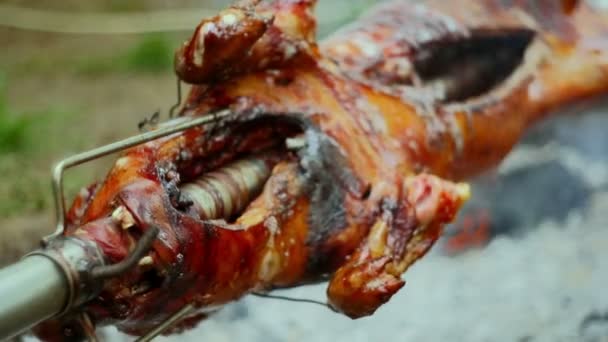 Prażenie świnia na rożnie — Wideo stockowe