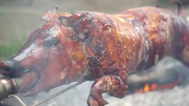 Roasting of a pig on a spit — Stock Video
