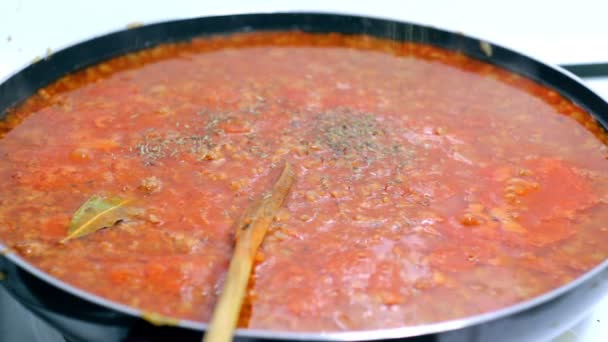 Preparing minced meat gravy sauce on a teflon pan — Stock Video