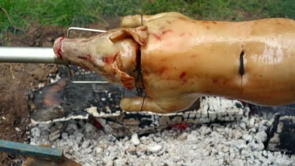 Een varken aan het spit roosteren — Stockvideo