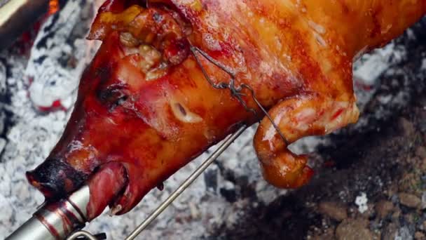 Een varken aan het spit roosteren — Stockvideo