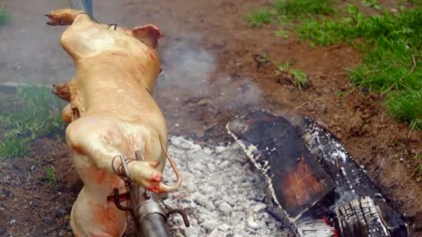 Asar un cerdo en una saliva — Vídeo de stock