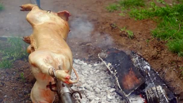 Roasting of a pig on a spit — Stock Video