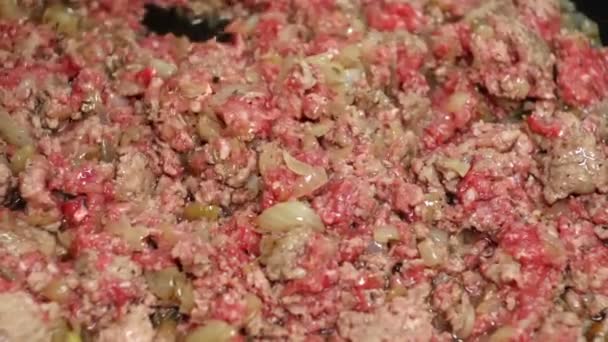 FRYING MINCED CARNE COM ONION E RICE — Vídeo de Stock