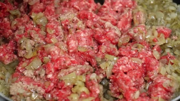 FRYING MINCED MEAT WITH ONION AND RICE — Stock Video
