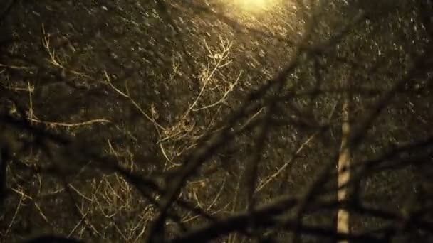 Sony FS-100 - nevando na cidade à noite. Os pretos não estão esmagados. — Vídeo de Stock