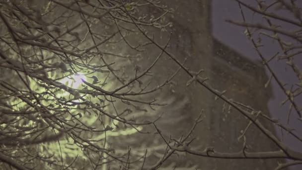 Snowing in città di notte — Video Stock