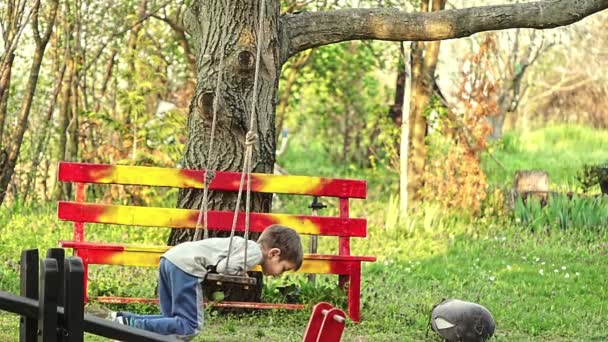 Mladý chlapec hraje s lanovou houpačkou — Stock video