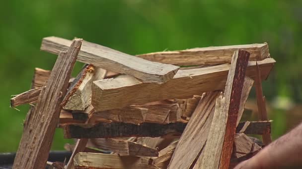 Preparation of woods for barbecue fire — Stock videók