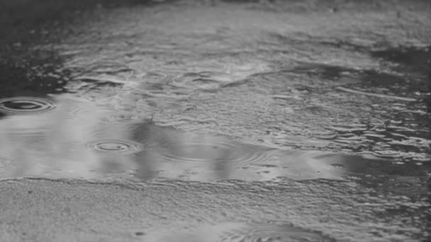 Капли дождя капают в лужу - замедленная съемка — стоковое видео
