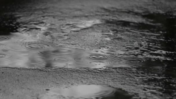 Gotas de lluvia goteando en un charco - cámara lenta — Vídeos de Stock