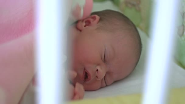 En månad gamla baby sover — Stockvideo