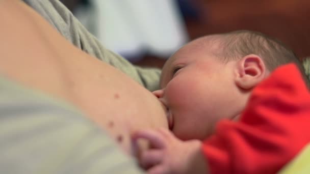 Hermoso bebé de un mes de edad chupando leche - amamantando — Vídeo de stock