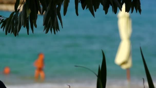 Zee, strand en mensen op de achtergrond — Stockvideo