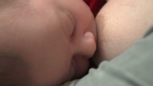 Beautiful one month old baby sucking milk - breastfeeding — Stock Video