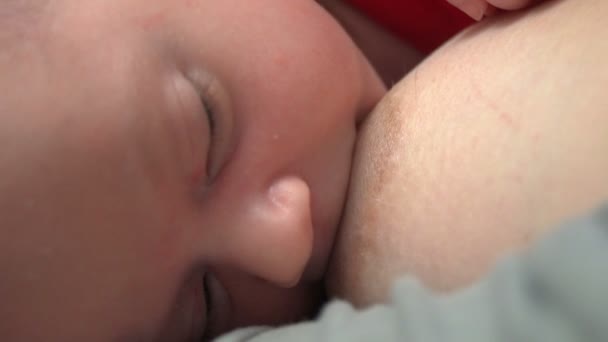 Bellissimo bambino di un mese che succhia il latte allattamento al seno — Video Stock