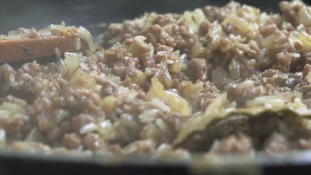 FRYING MINCED MEAT WITH ONION AND RICE — Stock Video