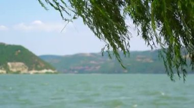Süper 35mm kamera - Romanya sınırına doğru donji milanovac Tuna yuvasından huzurlu göz