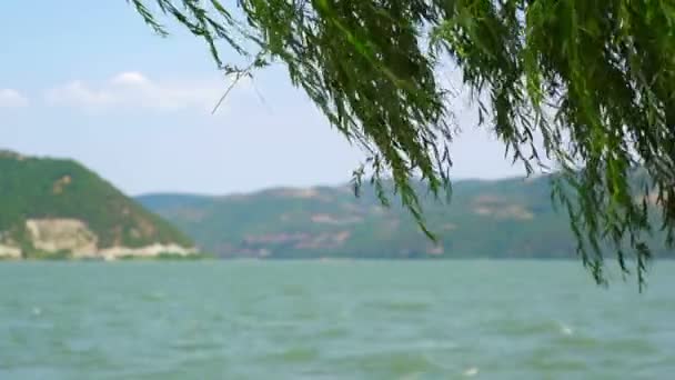 SUPER 35MM CAMERA - Regard paisible sur la baie du Danube depuis Donji Milanovac vers la frontière roumaine — Video