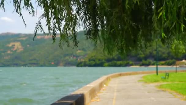 Regard paisible sur la baie du Danube de Donji Milanovac vers la frontière roumaine — Video