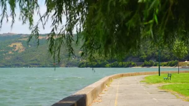 Regard paisible sur la baie du Danube de Donji Milanovac vers la frontière roumaine — Video