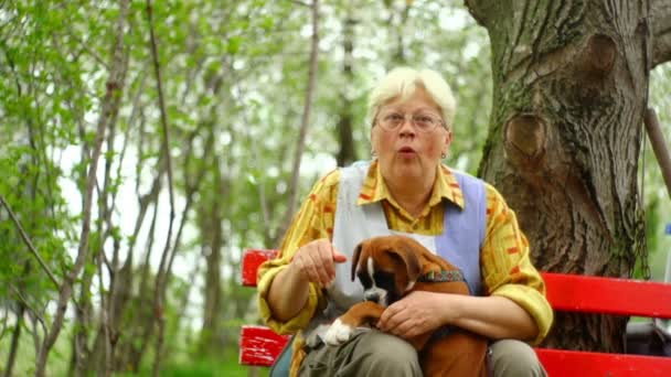 35mm cámara - mujer mayor disfrutando en la naturaleza con un cachorro boxeador alemán — Vídeo de stock