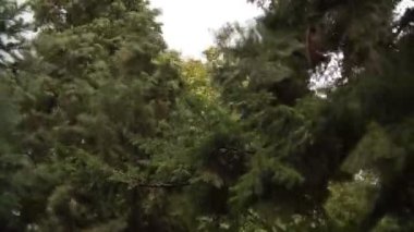 fırtınalı hava doğa arka plan