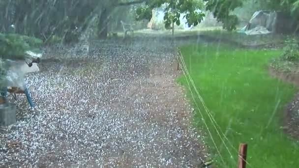 雹を伴う嵐の裏庭から撮影。草と地面に落ちる ！重く — ストック動画