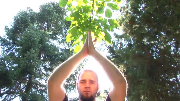 Young man meditating or praying in woods — Stock Video