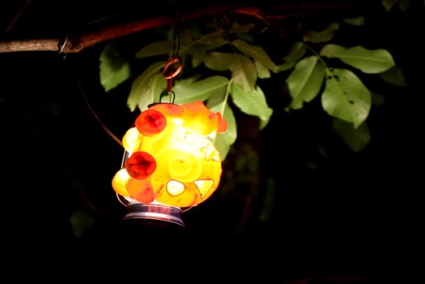 Lanterns at night in nature — Stock Video