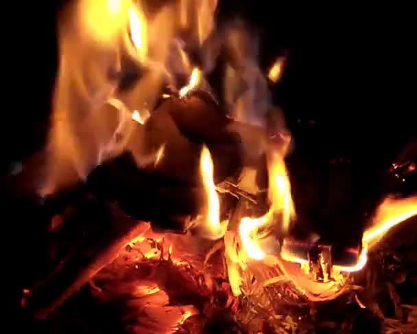 Preparation of barbecue fire — Stock videók