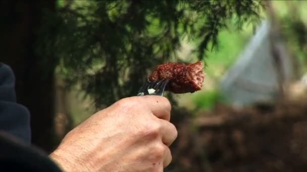 Serbische traditionelle Mahlzeit namens "Cevap", auch bekannt als Dönerspieß auf einer Gabel — Stockvideo