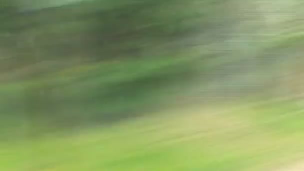 ¡Velocidad, coche tembloroso! Borroso también, un poco abstracto ! — Vídeos de Stock
