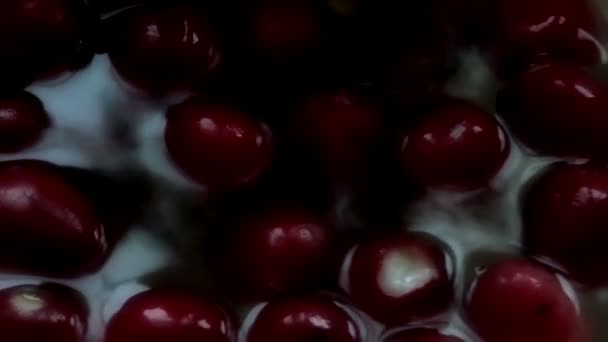 欧洲萝卜在水中洗涤（低调) — 图库视频影像