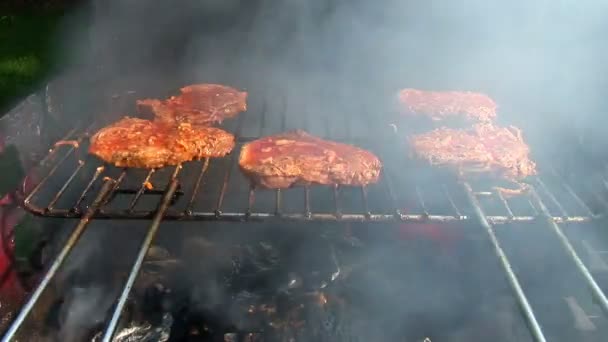 Barbecue cooked outdoors, close-up — Stock Video