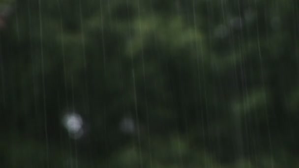 Sataa voimakkaasti - kaatamalla - keskittyä sateeseen — kuvapankkivideo