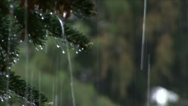 Pluie abondante - se concentrer sur le premier plan 