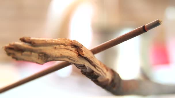 Incense stick burning laying on a wooden branch — Stock Video