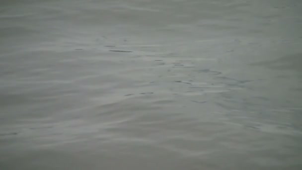 Donau golven in slow motion — Stockvideo