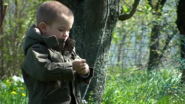 Jeune garçon jouant avec l'herbe dans la cour arrière — Video