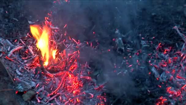 Brand och amber långsamt brinnande — Stockvideo