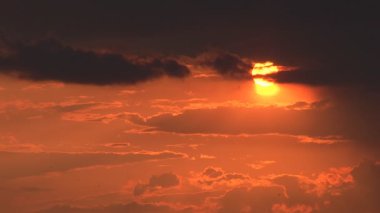 kuşlar siluetleri ile güzel dusk