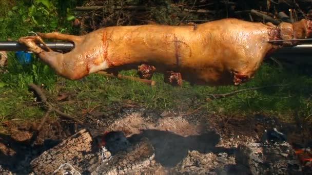 Rôti d'agneau tournant sur une broche — Video