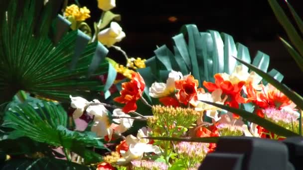Blommor och växter i vackra arrangemang — Stockvideo