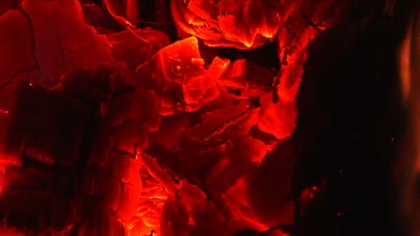 Real fire, close-up. Flames and ember! — Stock Video
