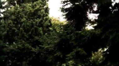 fırtınalı havalarda