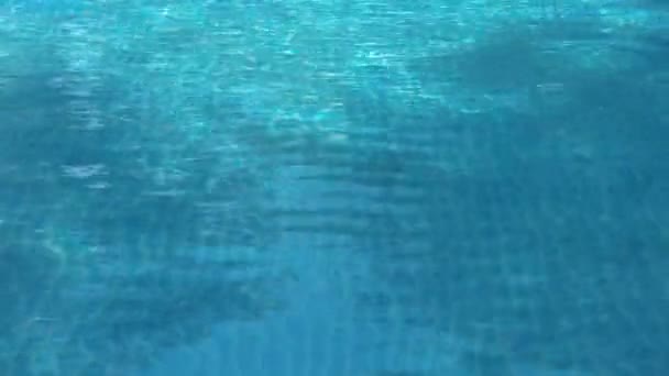 Belles vagues de piscine — Video